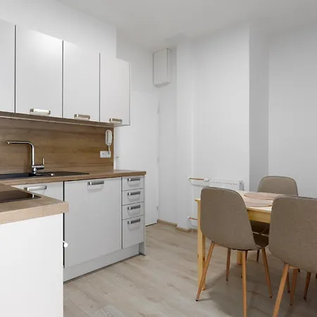 With 2 Bedrooms With Kitchen Near Metro 公寓