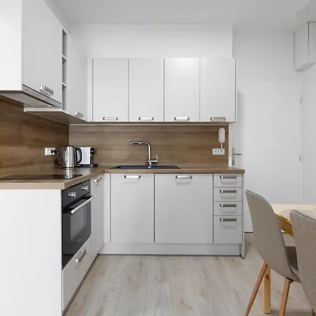 Apartament With 2 Bedrooms With Kitchen Near Metro